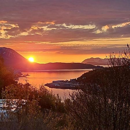 Harstad, All Seasons מראה חיצוני תמונה